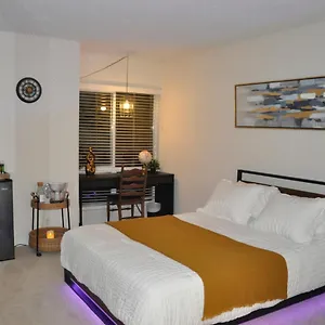 Private & Bathroom In Shared Oceanfront Home, Marina Del Rey Los Angeles
