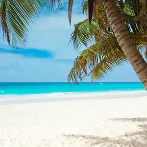 Season Paradise In Cortez , Bradenton United States